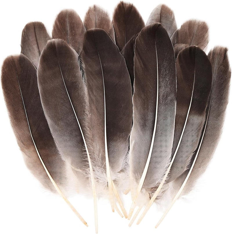 MAOFENG 150pcs 5-7 Inches Natural Goose Feathers Bulk DIY Crafts Feathers for Wedding Party Halloween Clothing Accessories,Natural Gray - Image 1